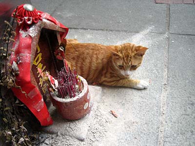 img20070426.jpg