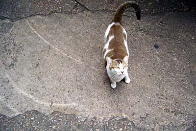 img20061123_1.jpg