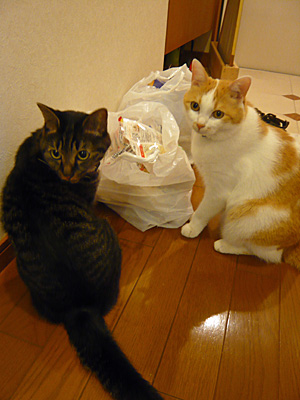 p1030208.jpg