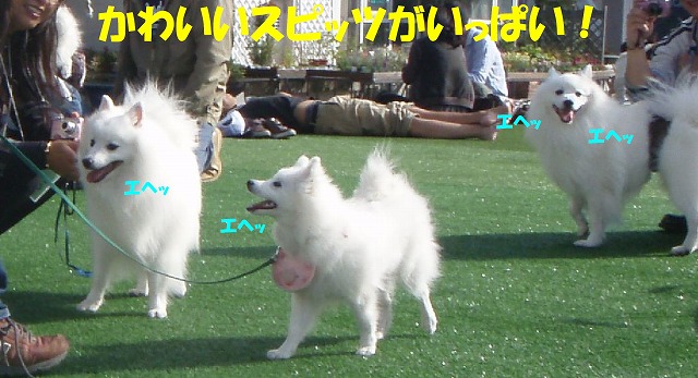 img20091108_6.jpg