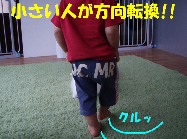 img20080512_4.jpg