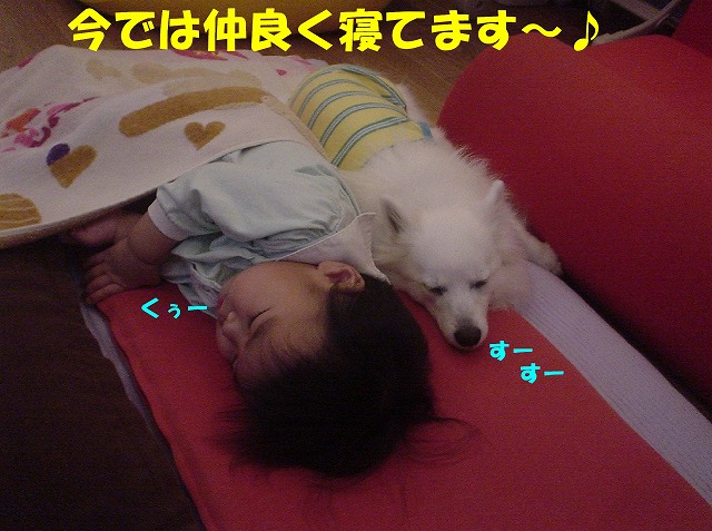 img20080331_3.jpg