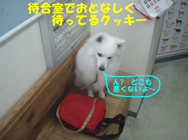 img20080527_1.jpg