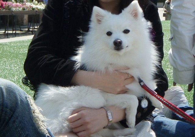 img20080508_1.jpg