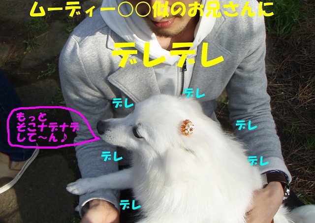 img20080508_6.jpg