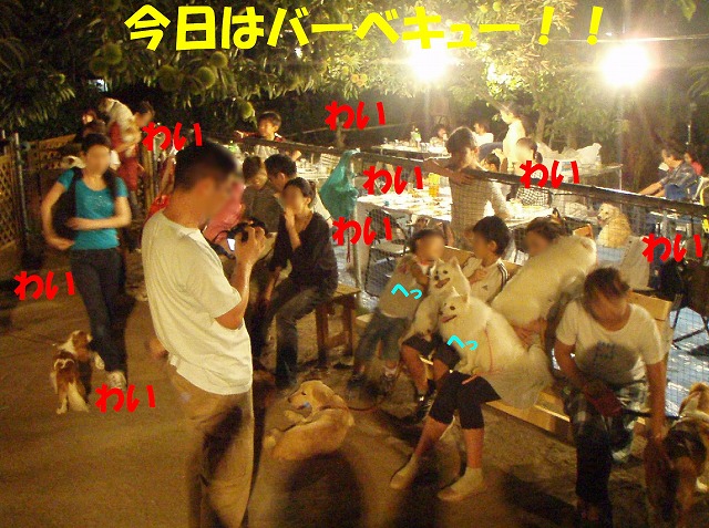 img20091108.jpg