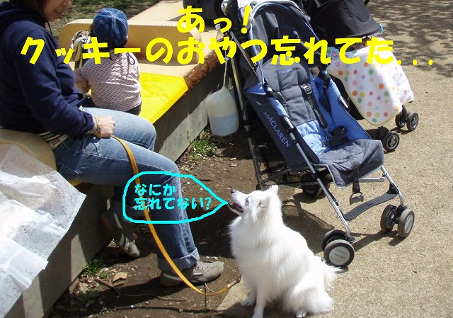img20080401_6.jpg