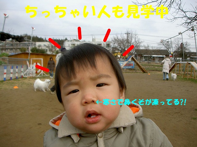 img20080206_7.jpg