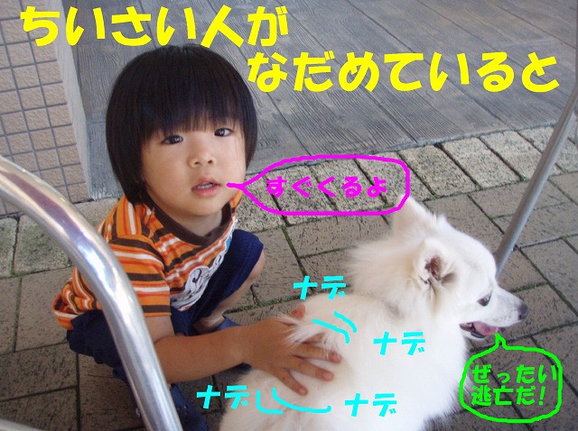 img20090801_8.jpg