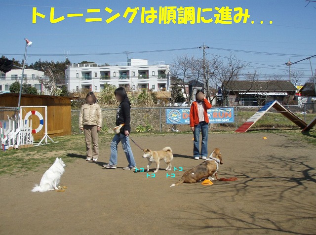 img20080508_4.jpg