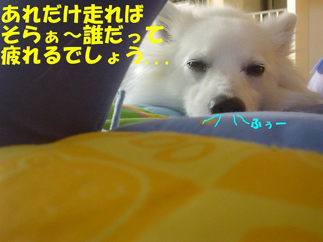 img20080316_9.jpg