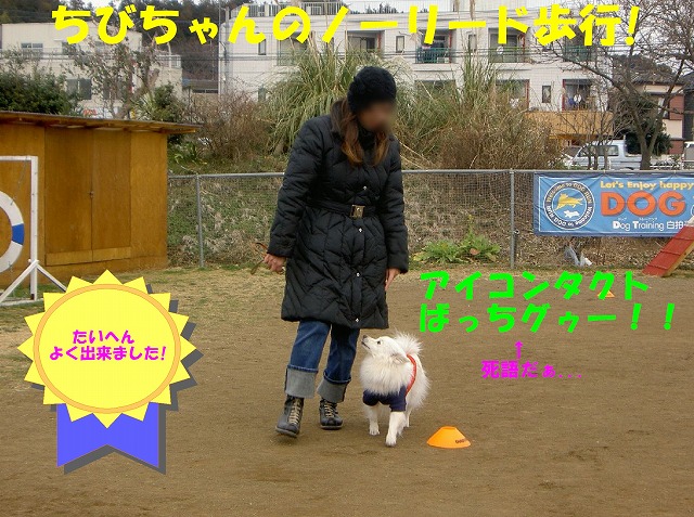 img20080206_3.jpg