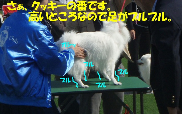 img20091108_4.jpg