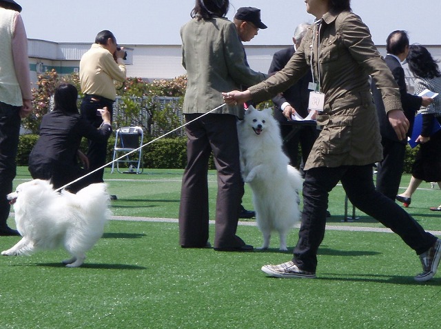 img20080508_2.jpg