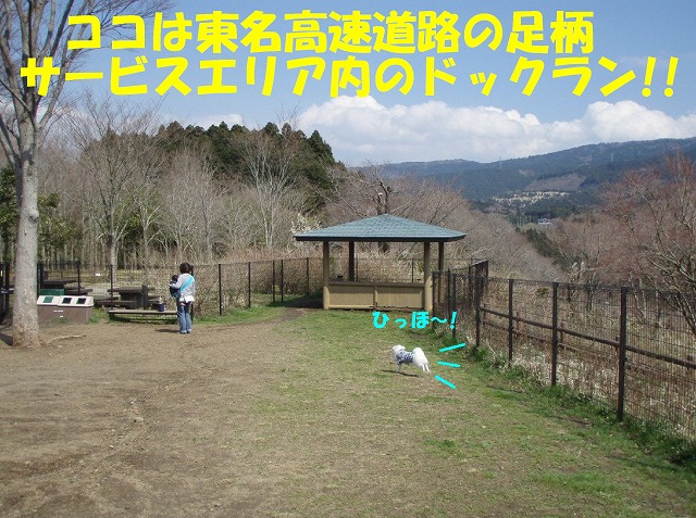 img20080331_2.jpg