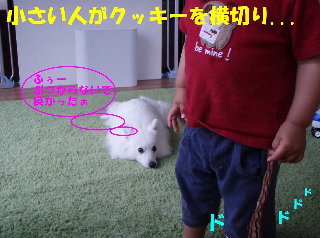 img20080512_3.jpg