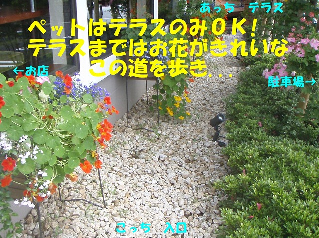 img20080527_2.jpg