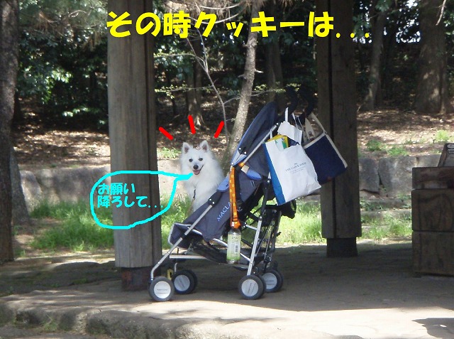img20080508_4.jpg