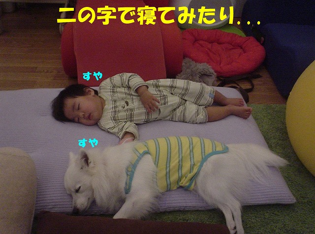 img20080331_2.jpg