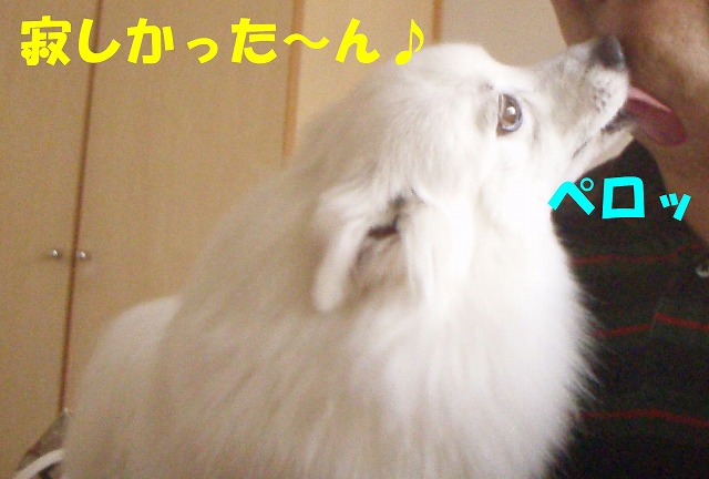 img20090724_3.jpg