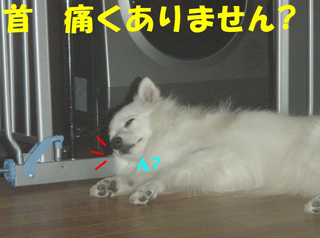 img20080927_1.jpg