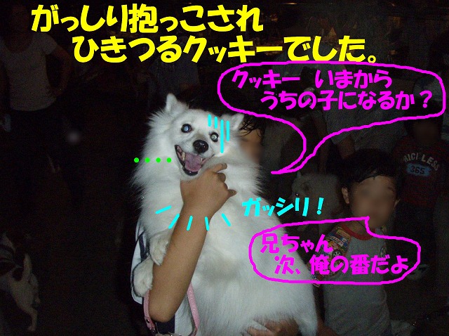 img20091108_4.jpg