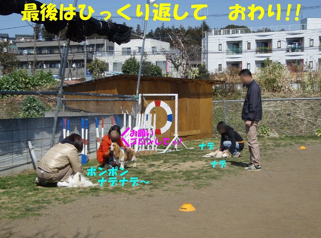 img20080508_5.jpg