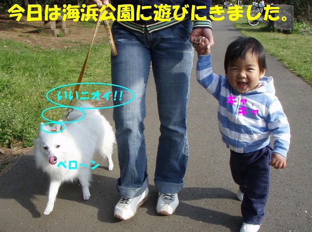 img20080508.jpg