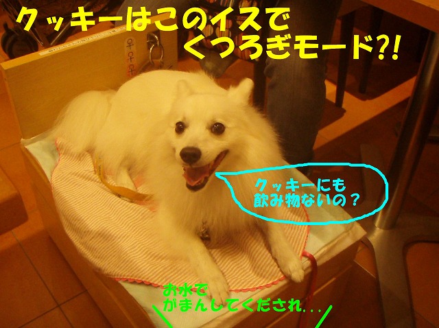 img20080630_8.jpg
