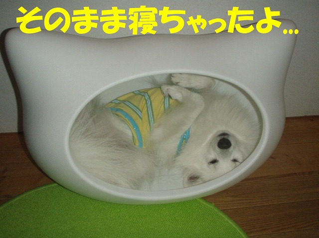 img20080713_1.jpg