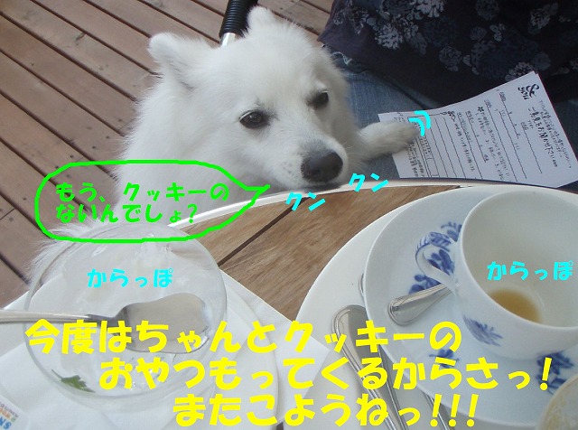 img20080527_4.jpg