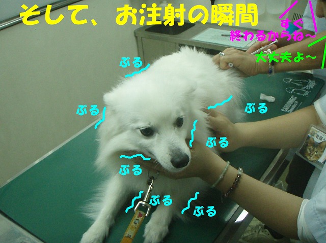 img20080527_5.jpg