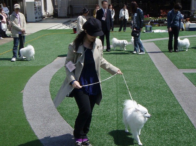 img20080508_3.jpg