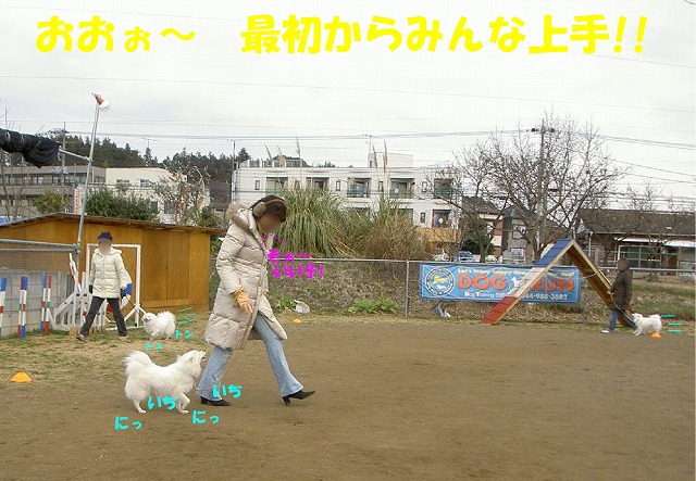 img20080206_1.jpg