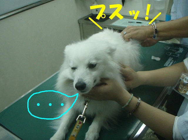 img20080527_6.jpg