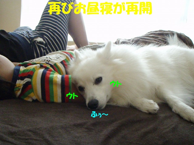 img20091108_5.jpg