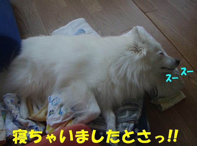 img20090724_3.jpg
