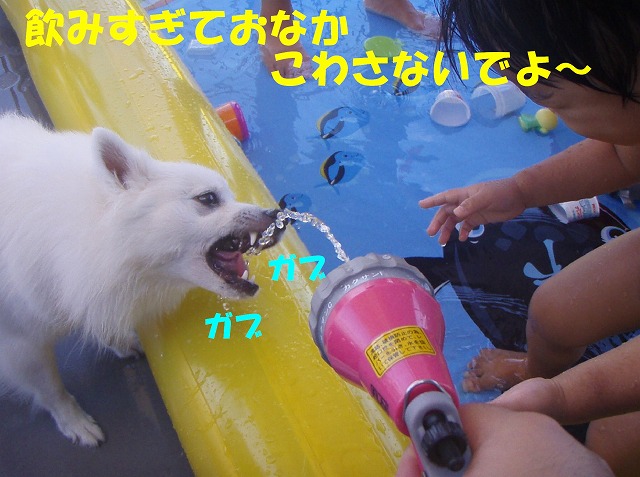 img20080927_4.jpg