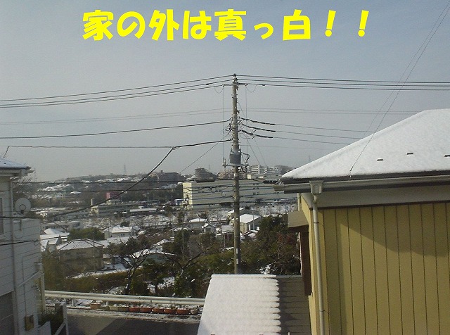img20080316.jpg