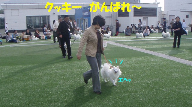 img20091108_3.jpg