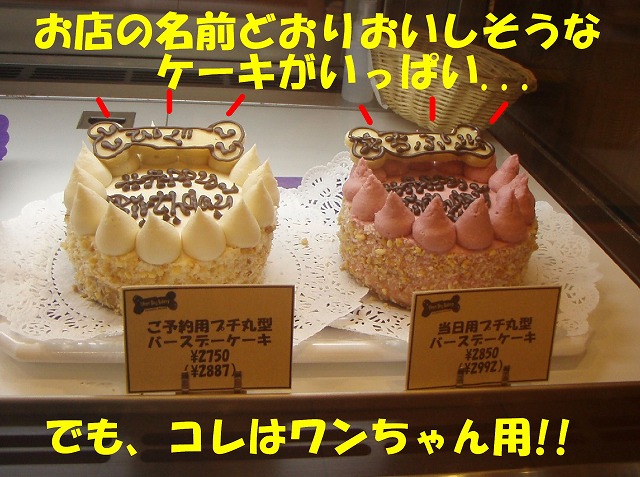 img20080630_2.jpg
