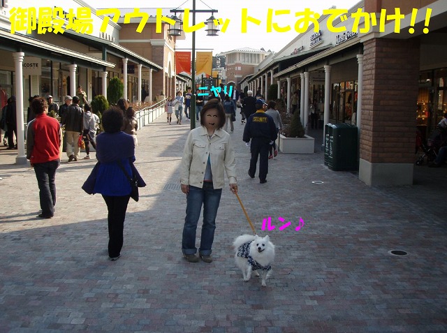 img20080331_3.jpg