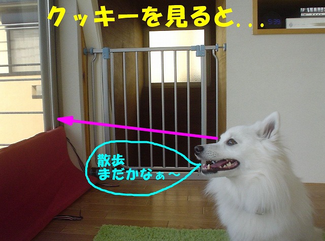 img20080316_1.jpg