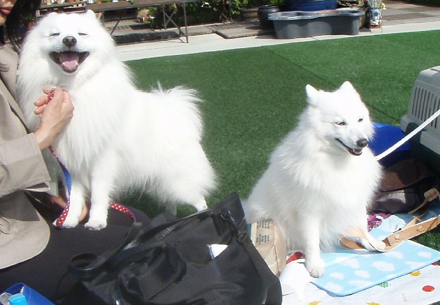 img20080508_4.jpg