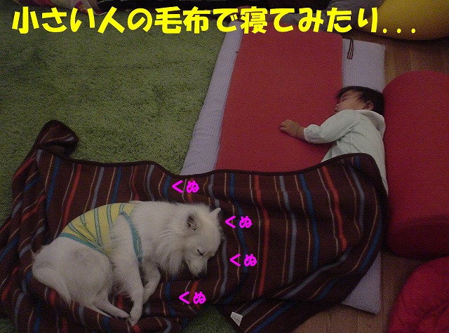 img20080331_1.jpg