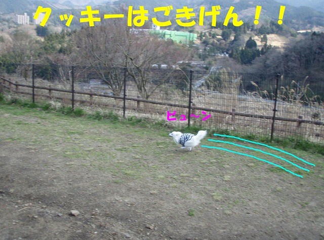 img20080331_1.jpg