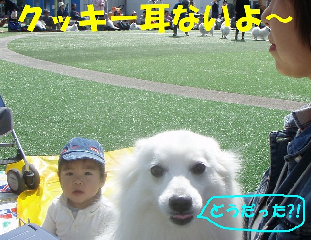img20080508_5.jpg