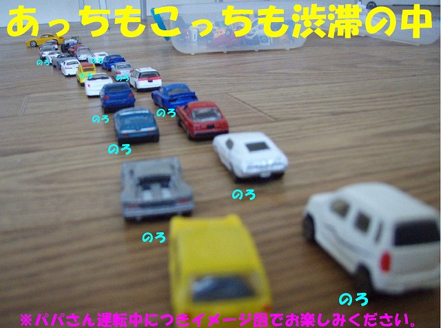 img20090801_3.jpg