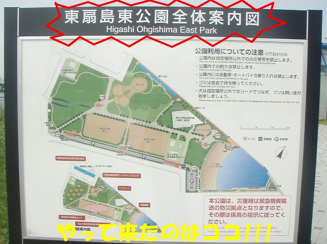 img20080630_1.jpg