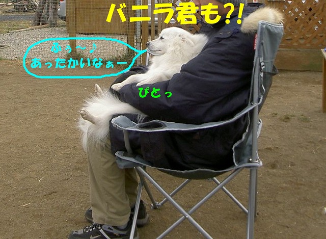 img20080206_9.jpg